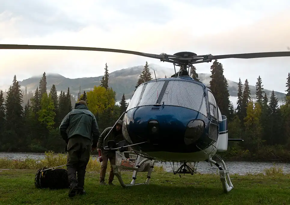 The Fly Shop Travel Image