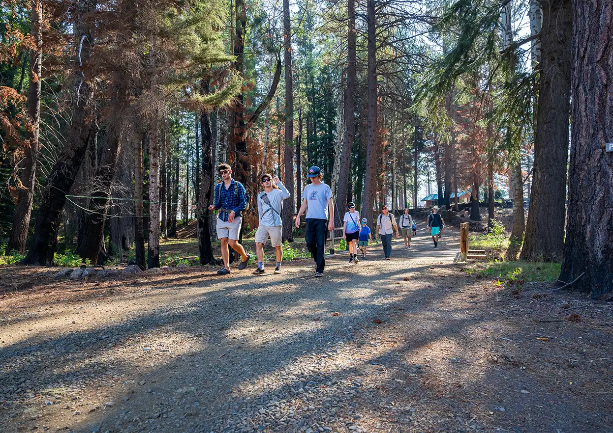 The Fly Shop Travel Image