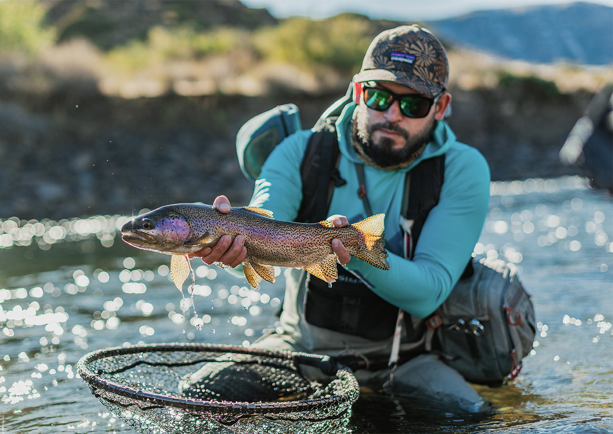 The Fly Shop Travel Image