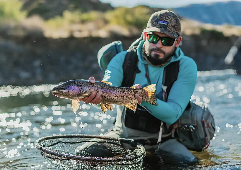 The Fly Shop Travel Image