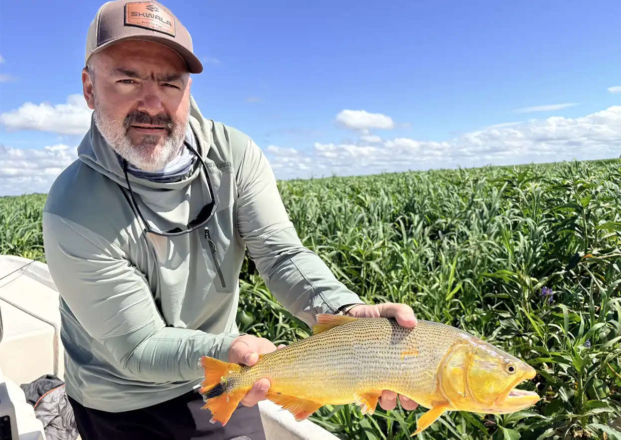 The Fly Shop Travel Image