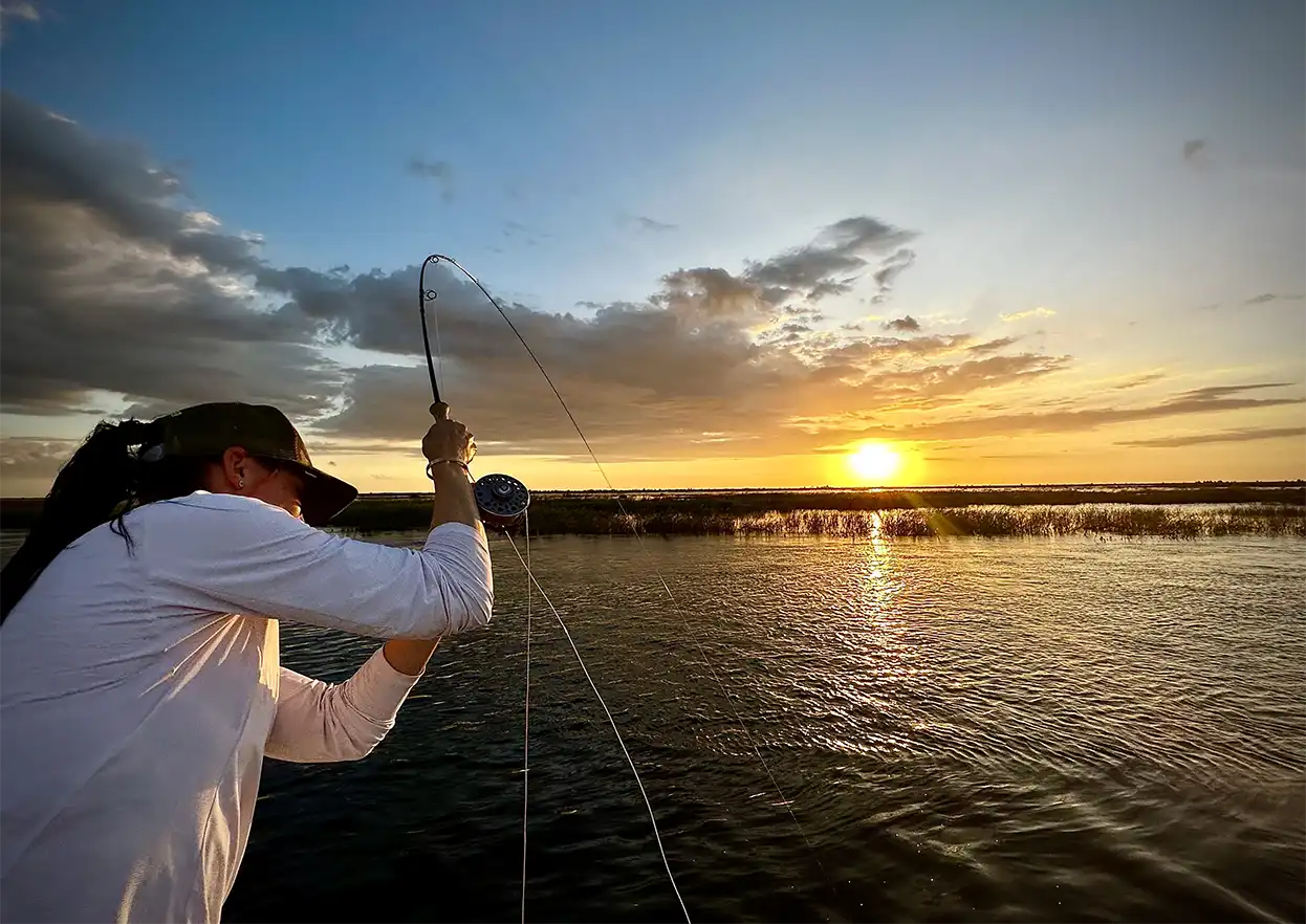 The Fly Shop Travel Image