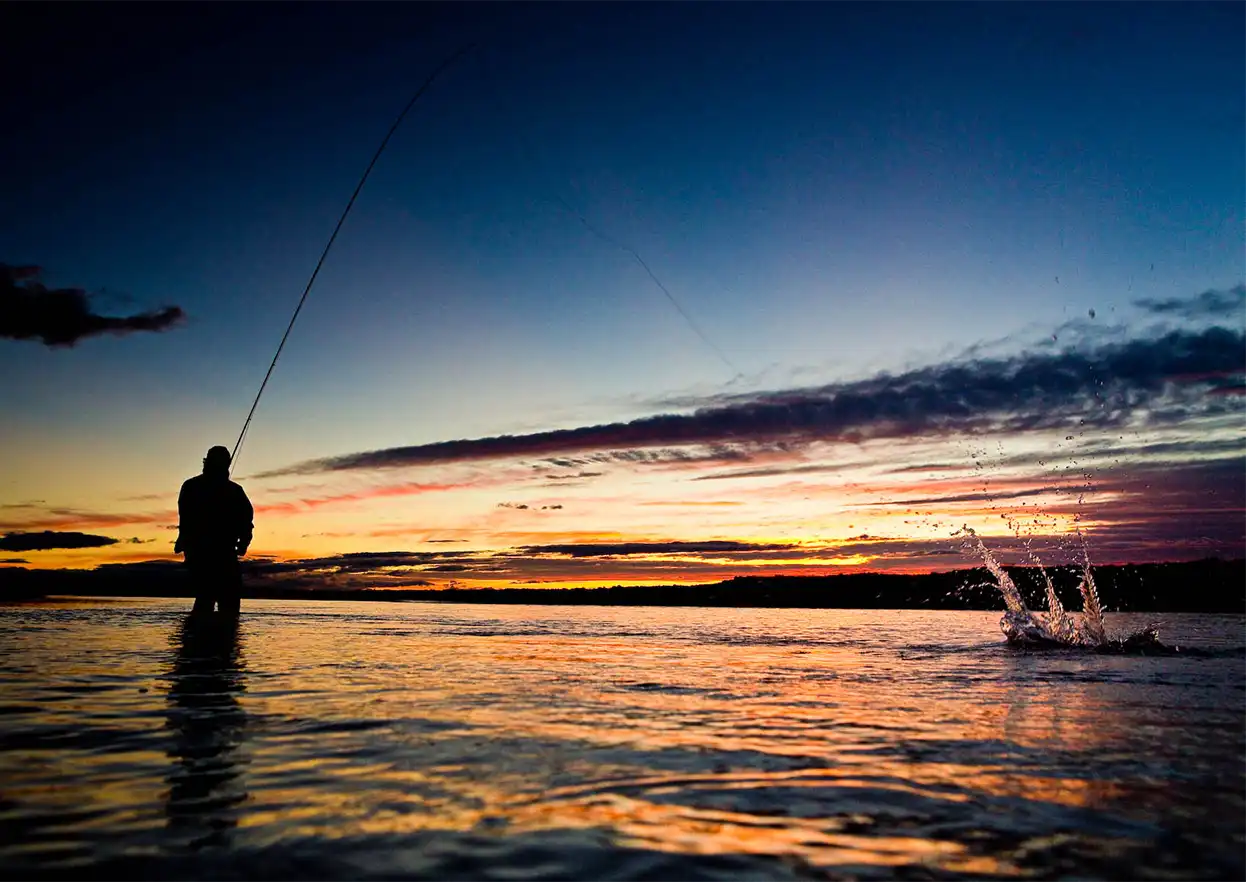 The Fly Shop Travel Image