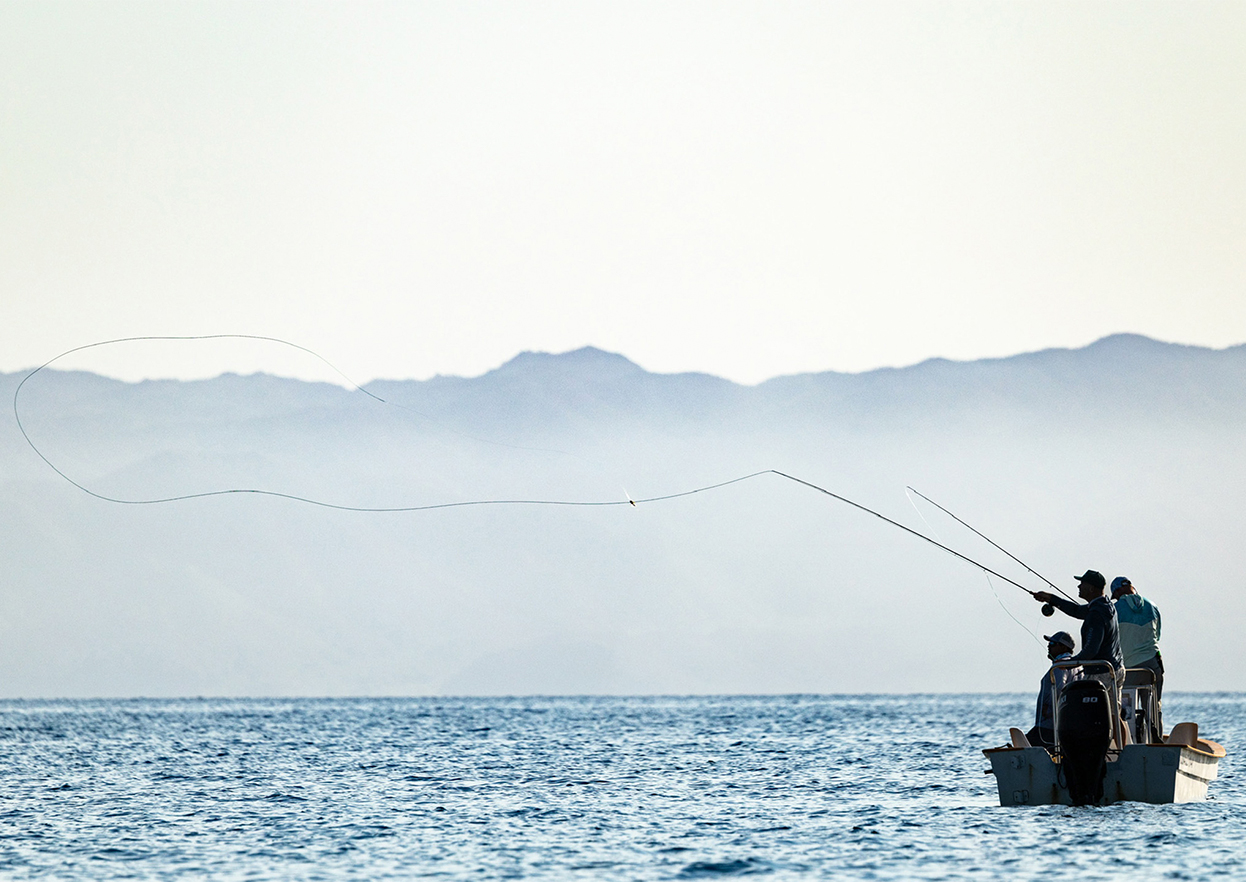 The Fly Shop Travel Image