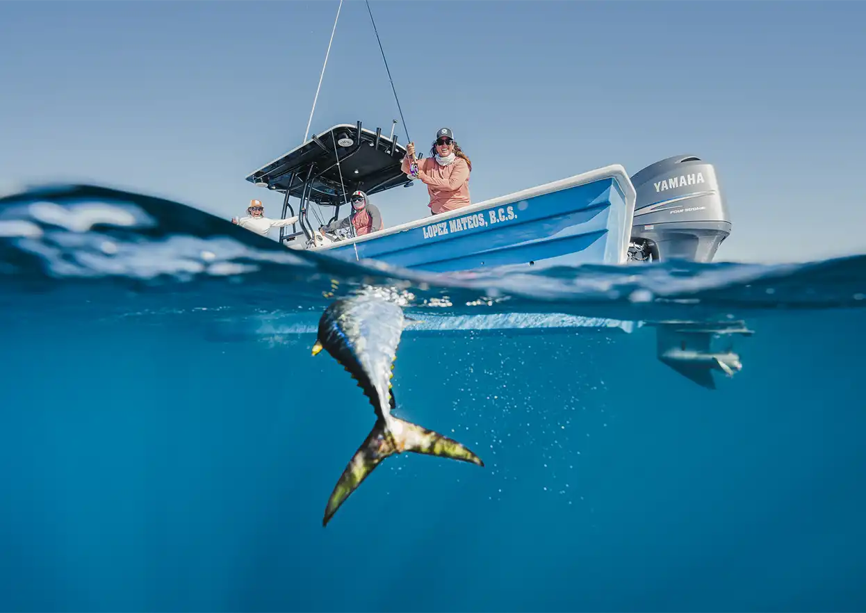 The Fly Shop Travel Image