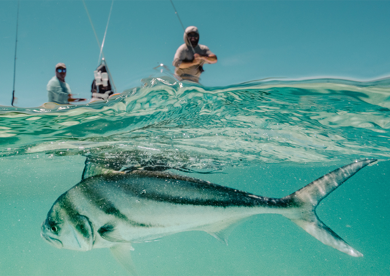 The Fly Shop Travel Image