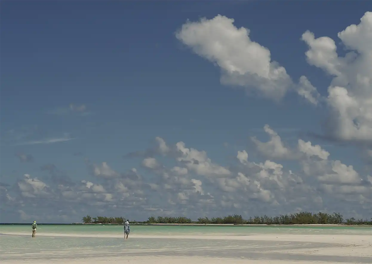 The Fly Shop Travel Image