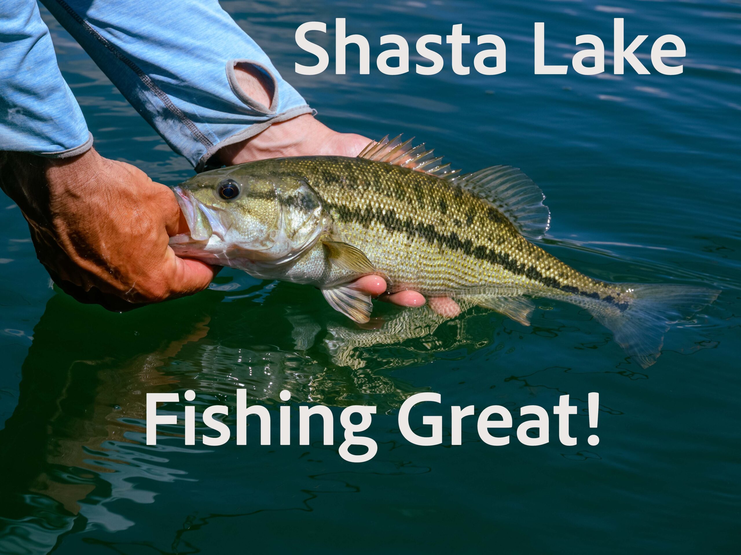 Northern California - The Fly Shop - Stream Report