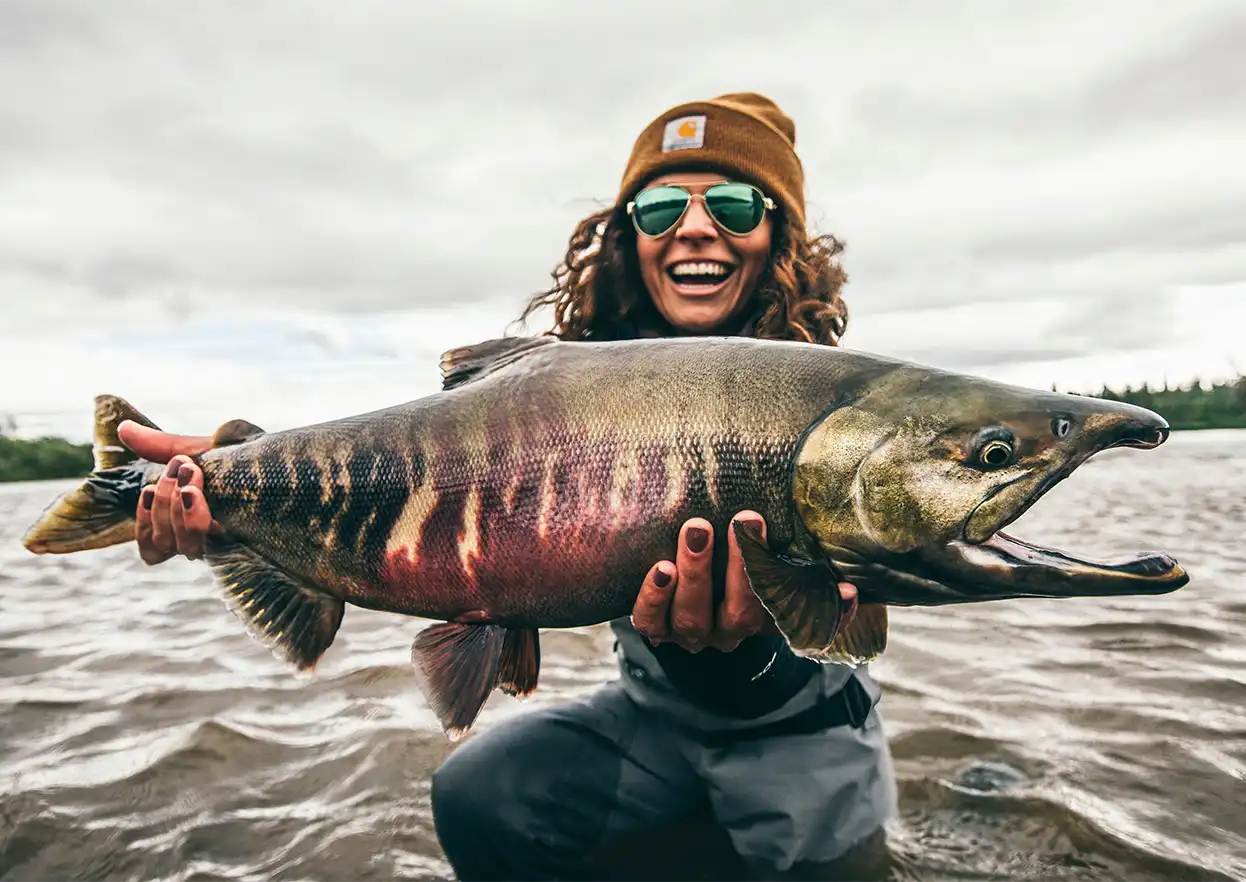 The Fly Shop Travel Image