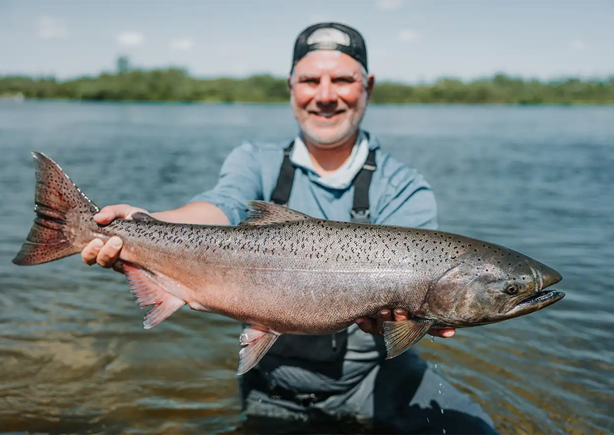 The Fly Shop Travel Image