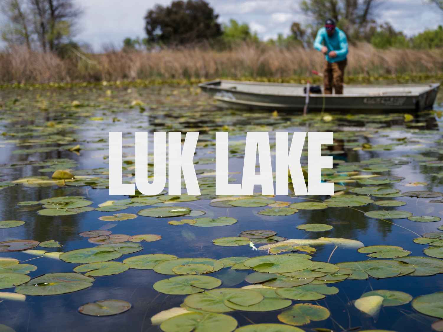 Northern California - The Fly Shop - Stream Report