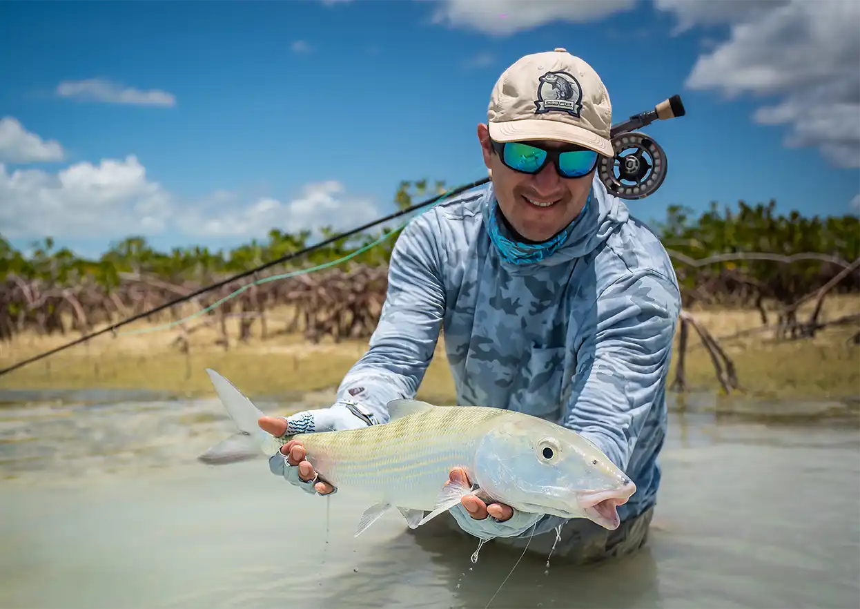 The Fly Shop Travel Image