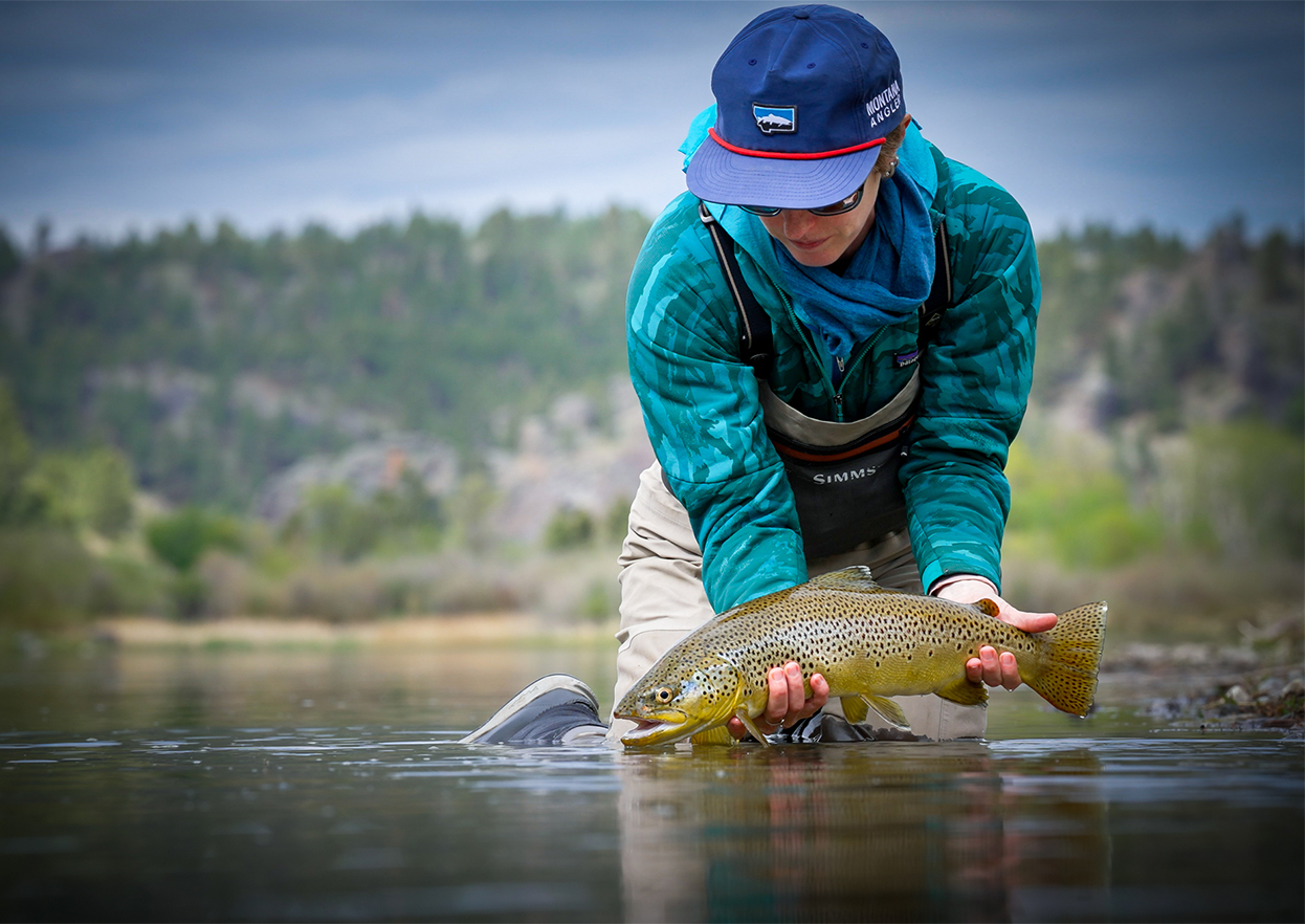The Fly Shop Travel Image