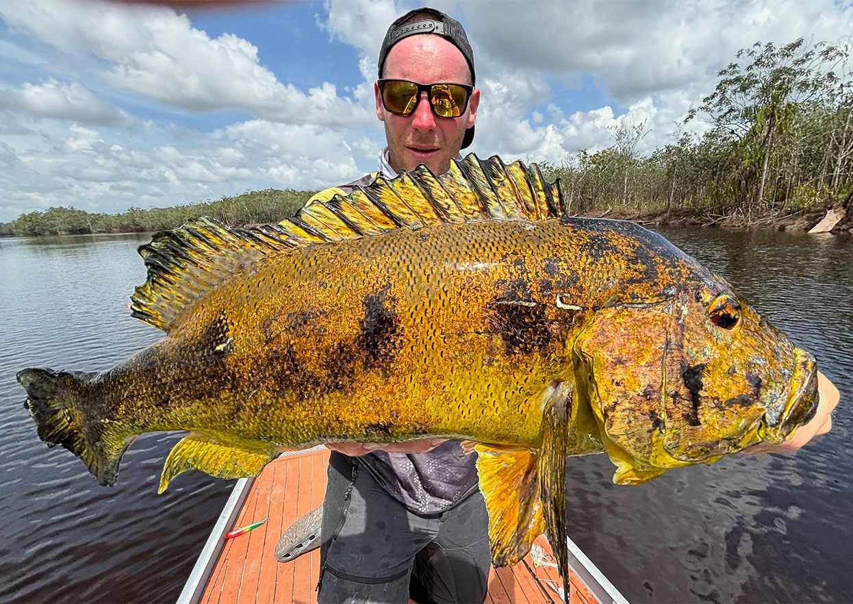 The Fly Shop Travel Image