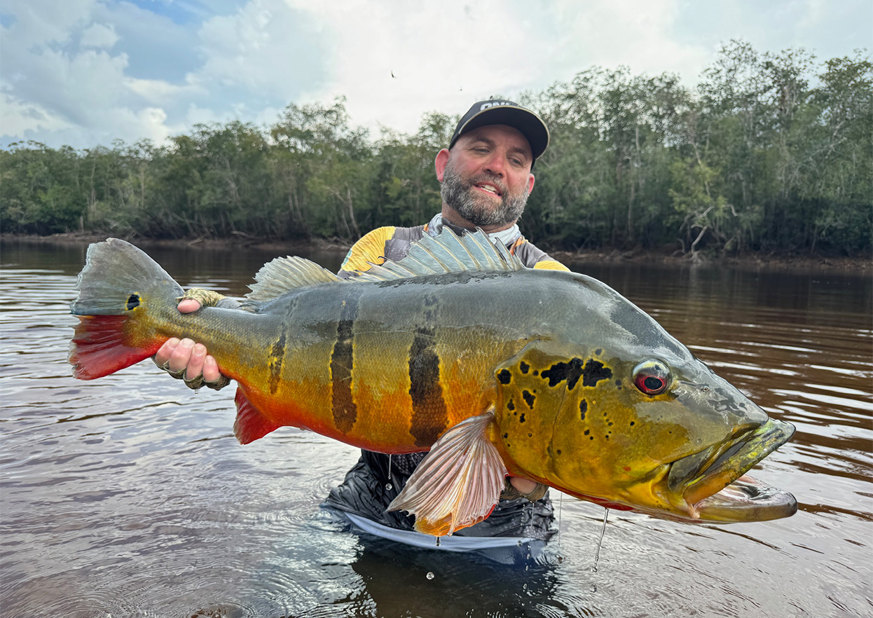 The Fly Shop Travel Image