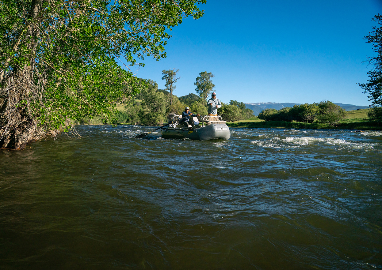 The Fly Shop Travel Image
