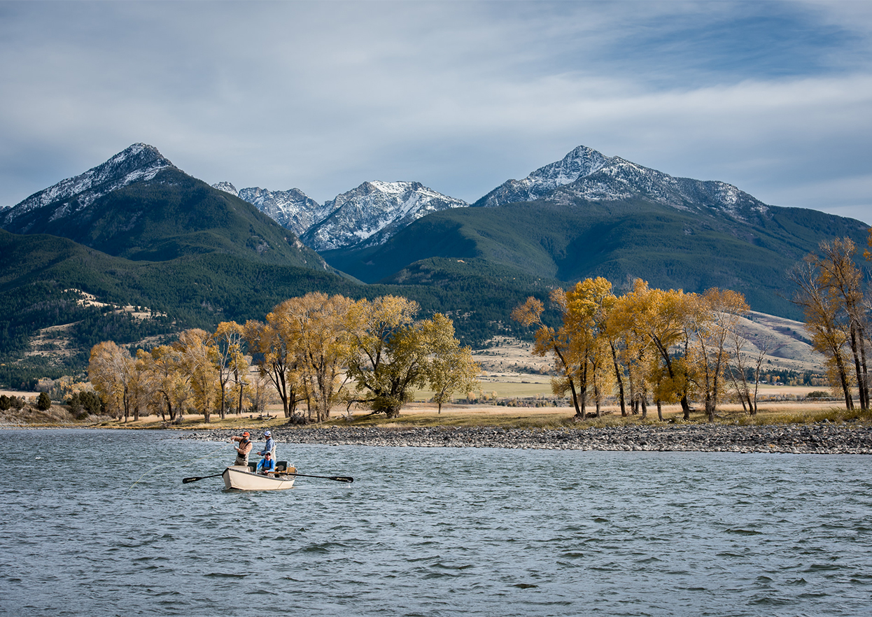 The Fly Shop Travel Image