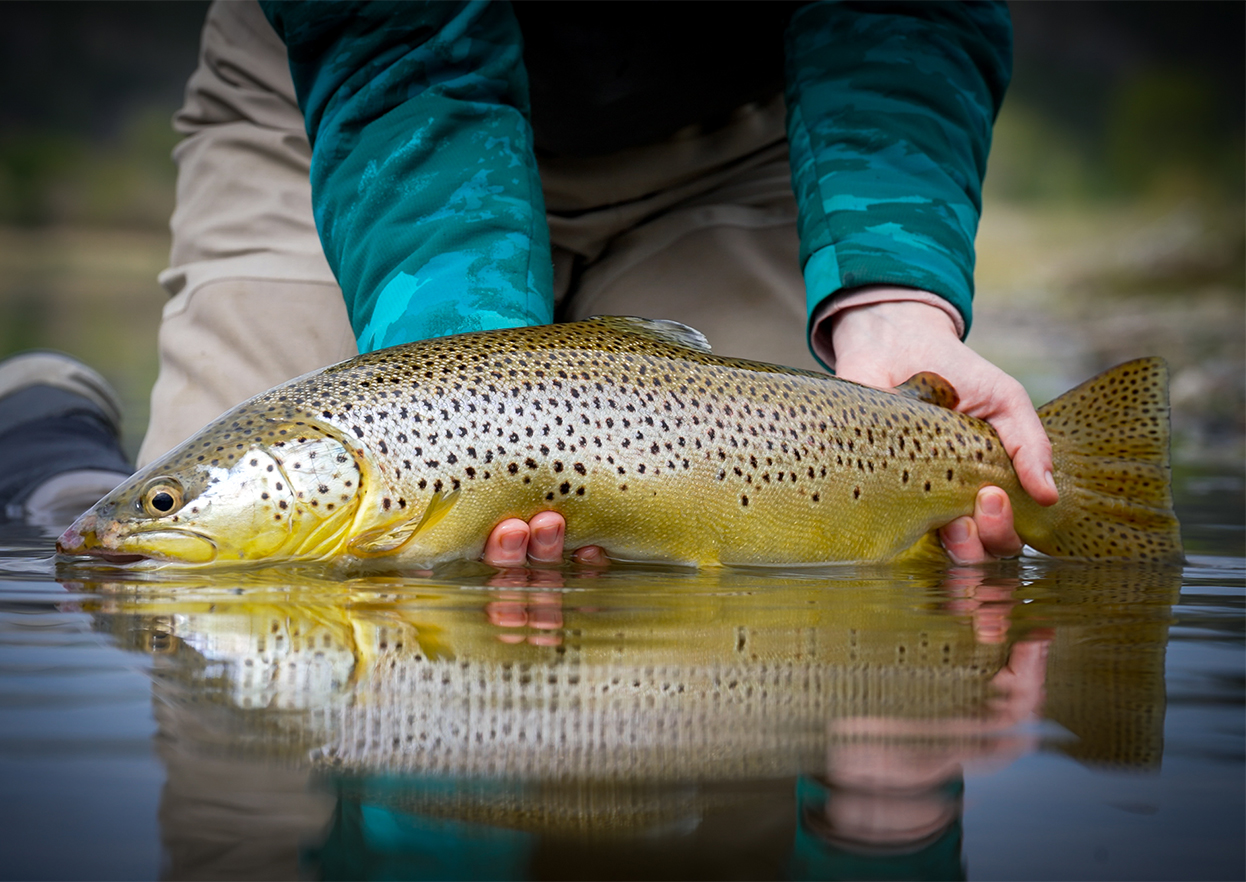 The Fly Shop Travel Image