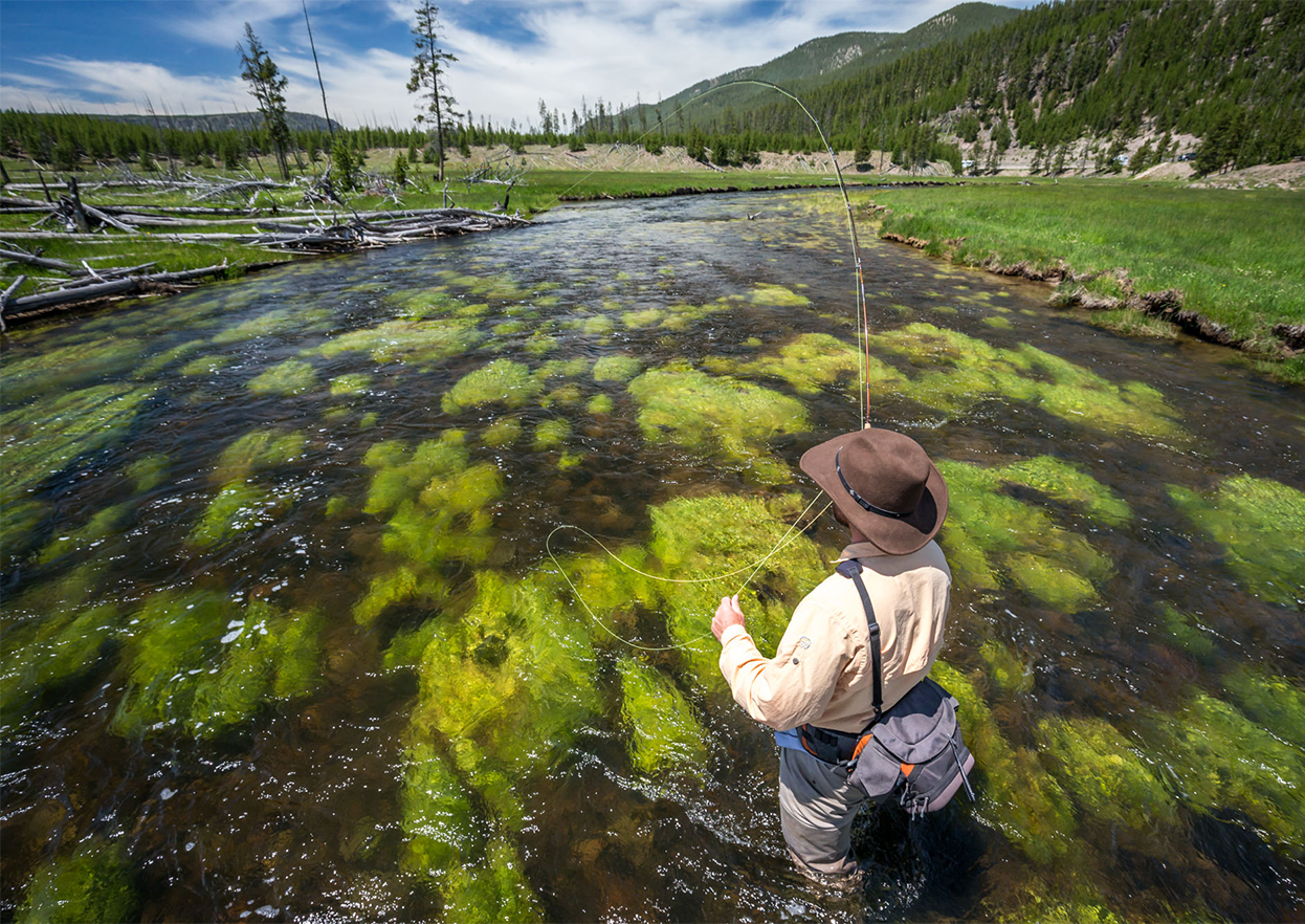 The Fly Shop Travel Image