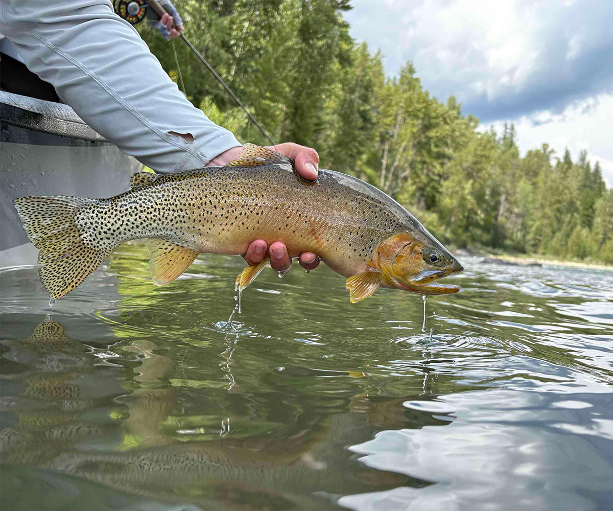 Andres Fly Fishing