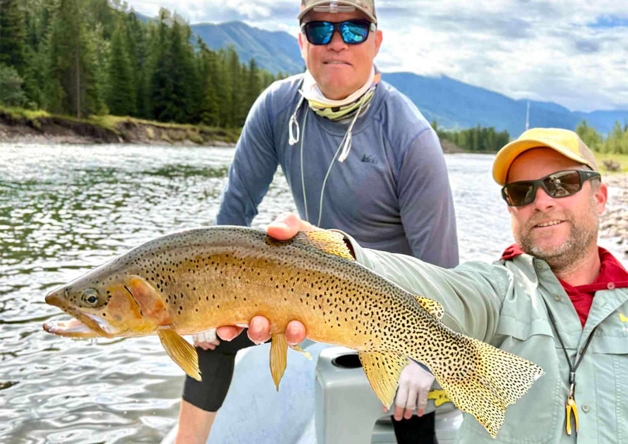 The Fly Shop Travel Image